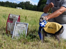 National Lure Coursing Competition (CACL) and Derbi-2018 title competition.