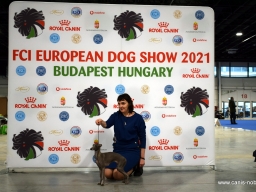 INTERNATIONAL DOG SHOW (CACIB)  Budapest GRAND  PRIX WINNER SHOW 2021