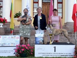 Speciality show (CAC) for sighthounds ” CLUB WINNER 2022 “.