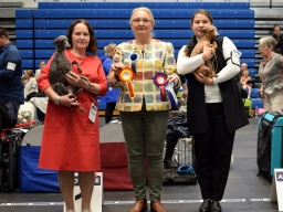National Dog Shows in Rakvere.