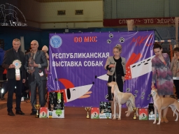 Республиканская выставка собак клуб ‘’МКС’’.