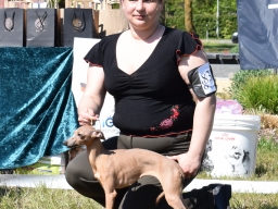 Latvian Sighthound Club Specialty Dog Show.