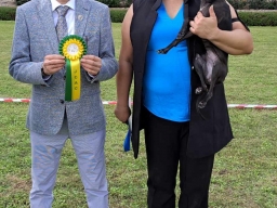Speciality show (CAC) for sighthounds ” CLUB WINNER 2023 “.