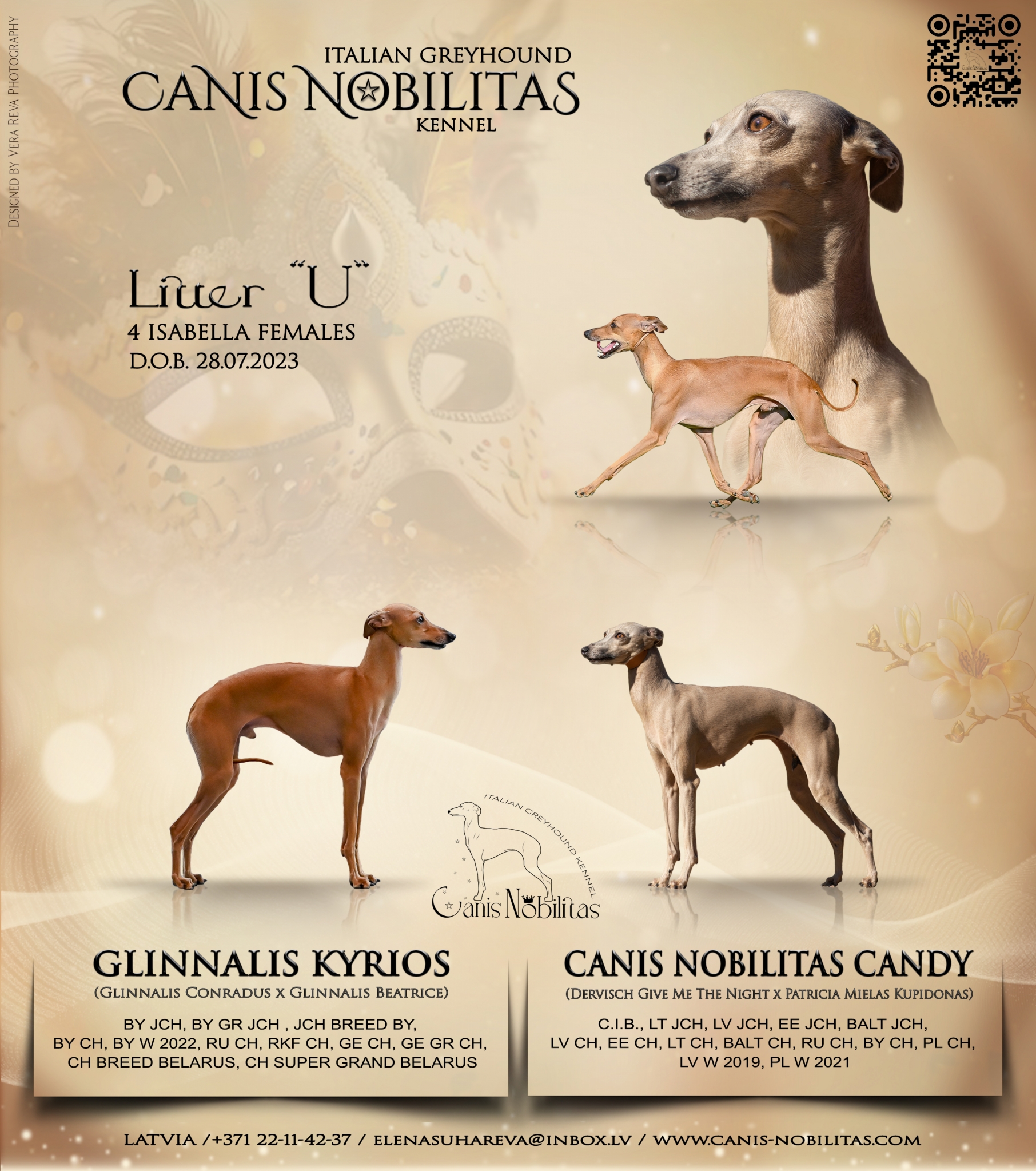 Canis Nobilitas « U » litter.