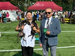 XVII International Dog Show