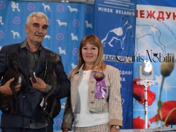 INTERNATIONAL DOG SHOW «BELARUS WINNER 2024».