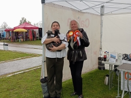 NATIONAL (CAC) ALL-BREED DOG SHOW “RETO CUP 2025″.