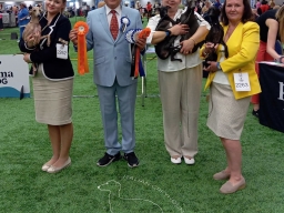 International dog show “Estonian Winner 2025” International dog show “Estonian Winner 2025”