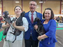 International dog show „LATVIAN WINNER’2025”. International dog show „LATVIAN WINNER’2025”.