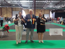 International dog show LKF, Riga (Cruft’s qualification). International dog show LKF, Riga (Cruft’s qualification).
