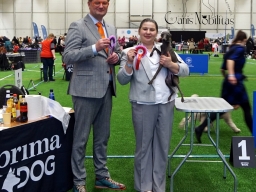 International Dog Show “Tallinn Winner 2026”.