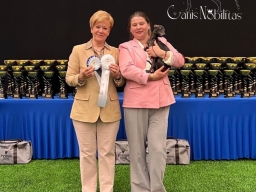International dog show, Tallinn, Estonia.