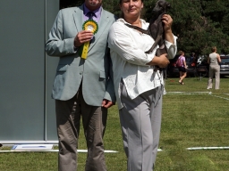 Latvian Sighthound Club Speciality Dog Show “Club Winners 2026” Latvia