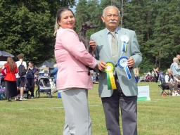 National Dog Show “Ogre Summer 2026” Latvia.