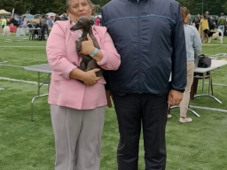 International Dog Show.
