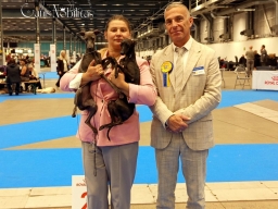 EUROPIAN DOG SHOW 2026.